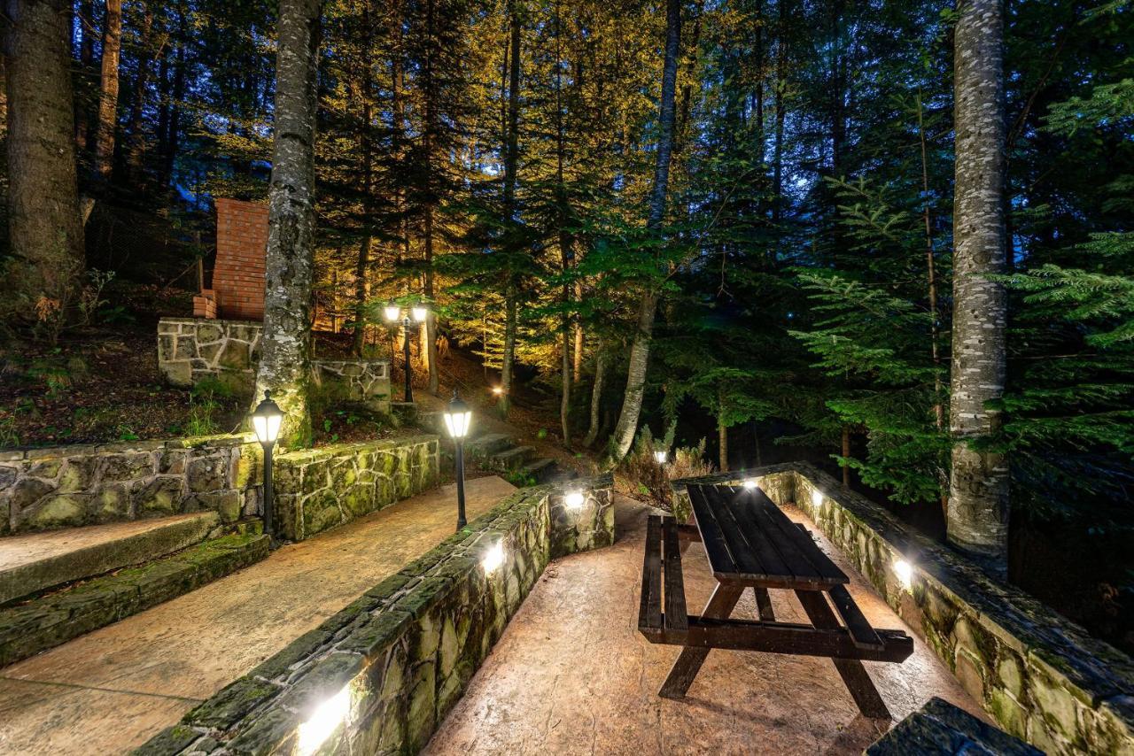Hotel Regal Sinaia Zewnętrze zdjęcie