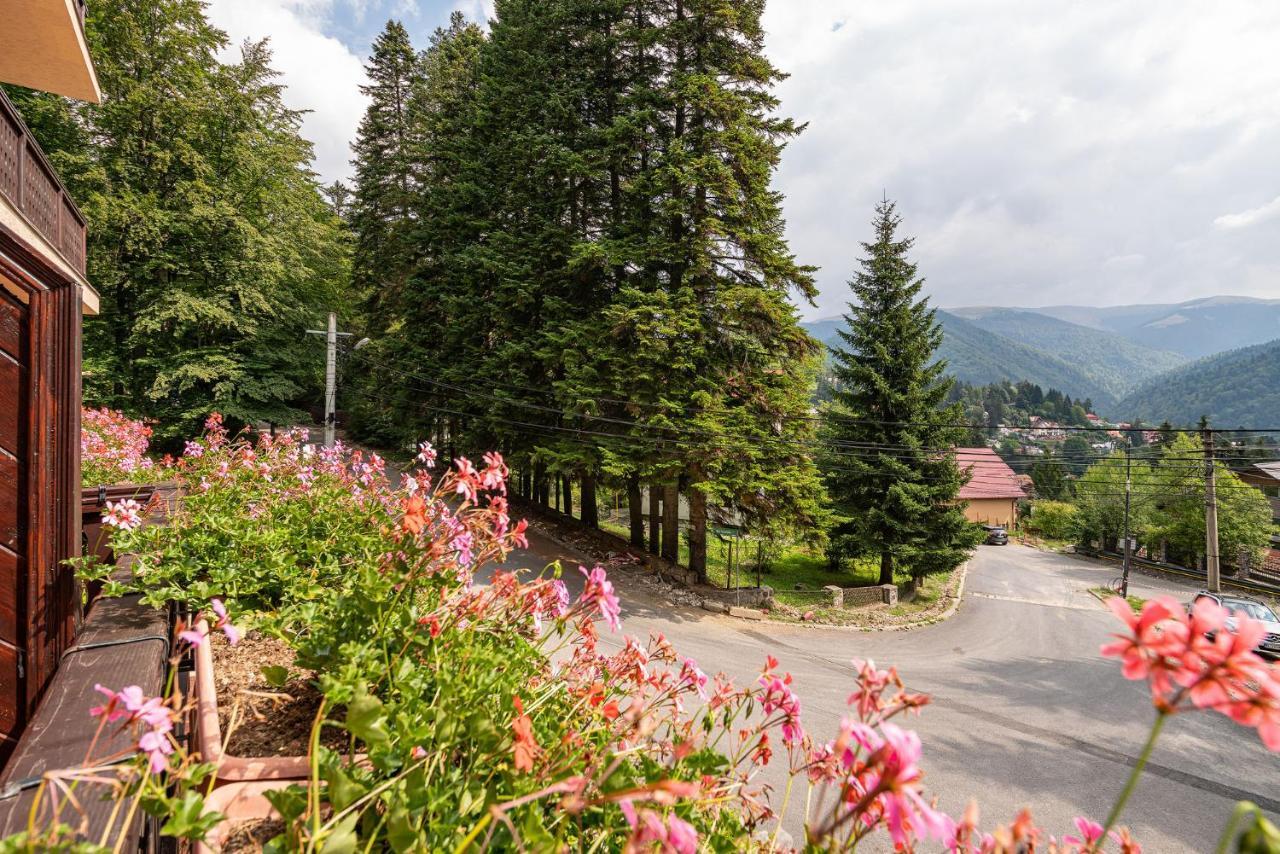 Hotel Regal Sinaia Zewnętrze zdjęcie