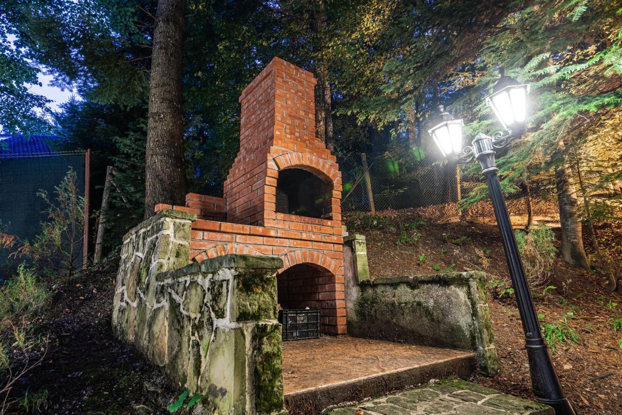 Hotel Regal Sinaia Zewnętrze zdjęcie